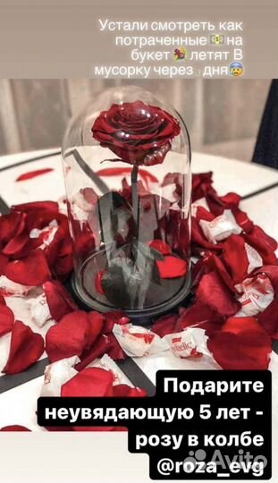 Вечная роза в колбе 27см