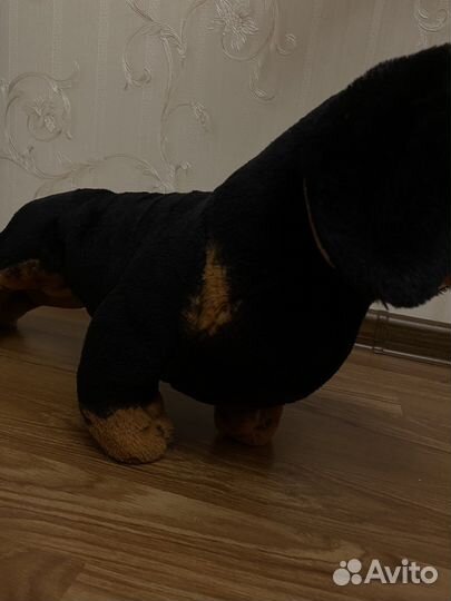 Плюшевая собака