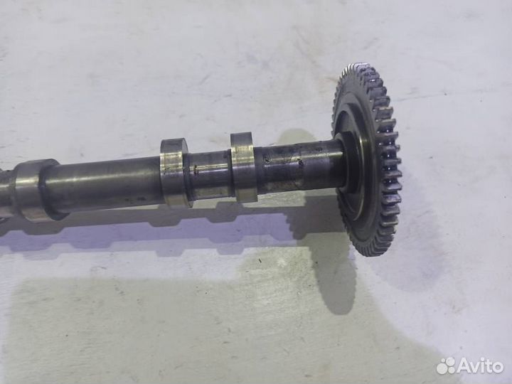 Распредвал выпускной A6420504601