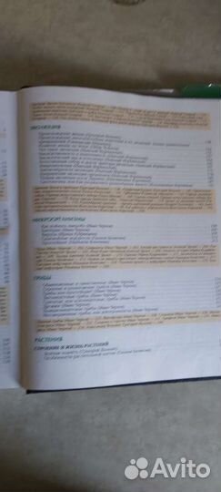 Детская энциклопедия аванта