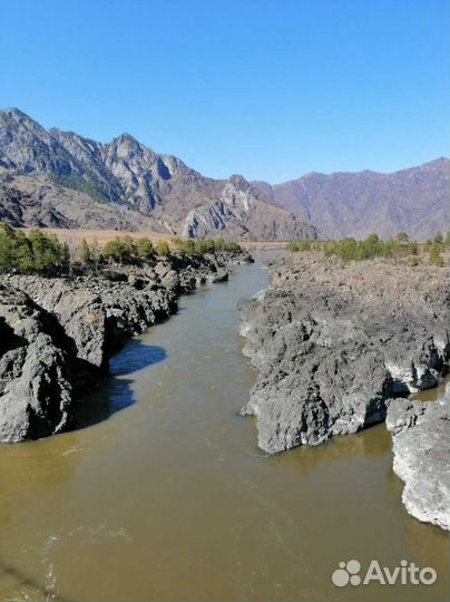 На Алтай лето путевка экскурсии от 6 до 8 дн