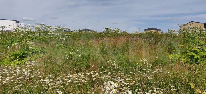 Участок 19 сот. (ИЖС)