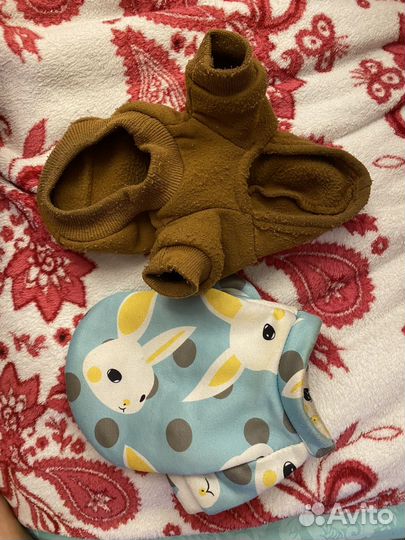 Кофта для кота