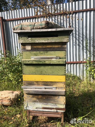 Улей для пчел