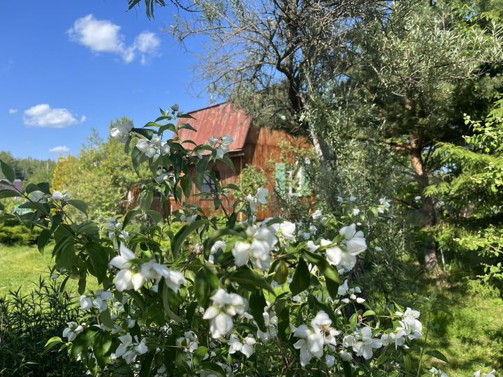 Дача 50 м² на участке 10 сот.