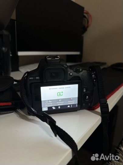 Зеркальный фотоаппарат canon eos250d kit