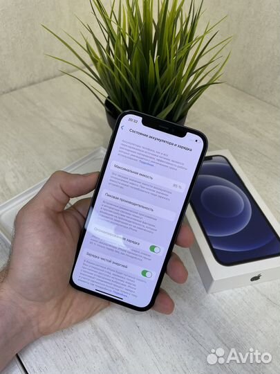 iPhone 12, 128 ГБ