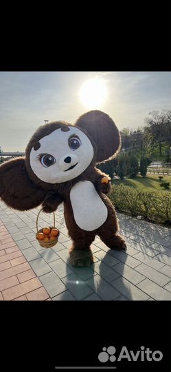 Белый мишка