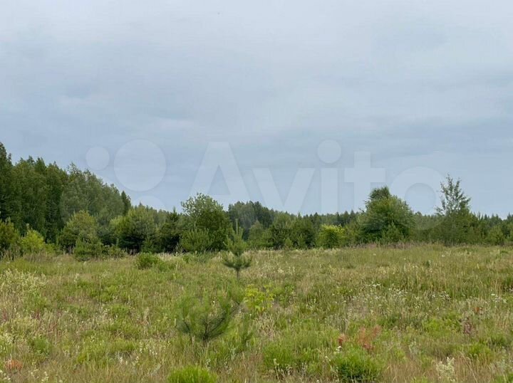 Участок 40,4 сот. (ИЖС)