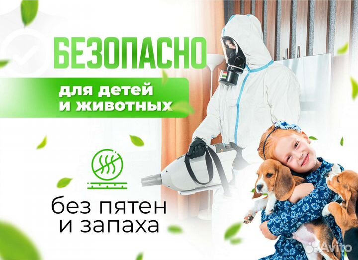 Уничтожение клопов, травить тараканов. Дезинфекция