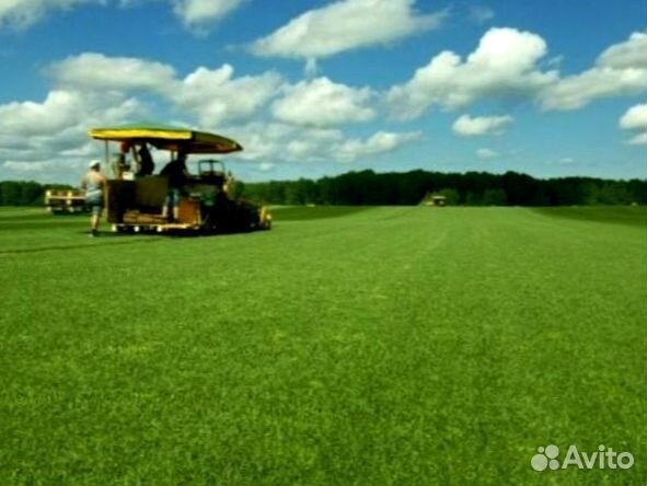 Рулонный газон