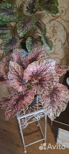 Искусственные цветы Бегония