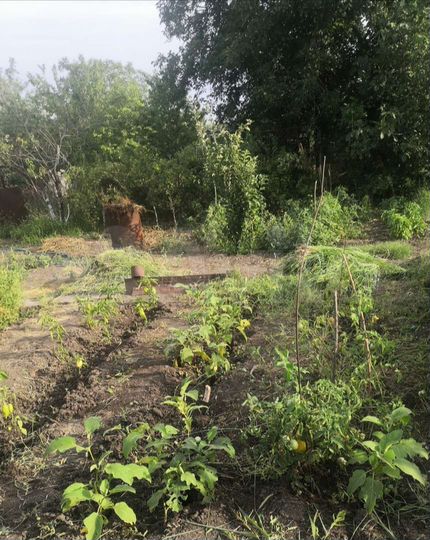 Дача 20 м² на участке 7 сот.