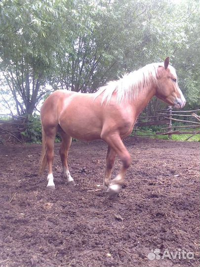 Советский тяжеловоз