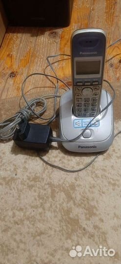 Panasonic