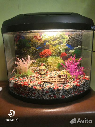 Аквариум