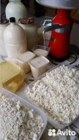Продам домашнее молоко,сметана творог