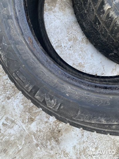 Nexen Winguard 231 195/65 R15