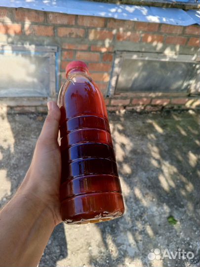 Каштановый мед для мужчин 2023г