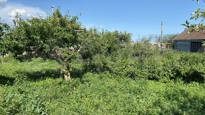 Дом 31,5 м² на участке 20 сот.