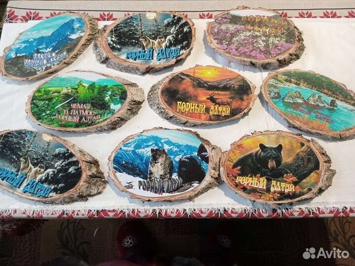 Фото на спилах береза