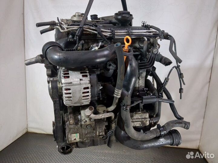 Двигатель Audi A3 (8P) BXE 1.9 Дизель, 2007