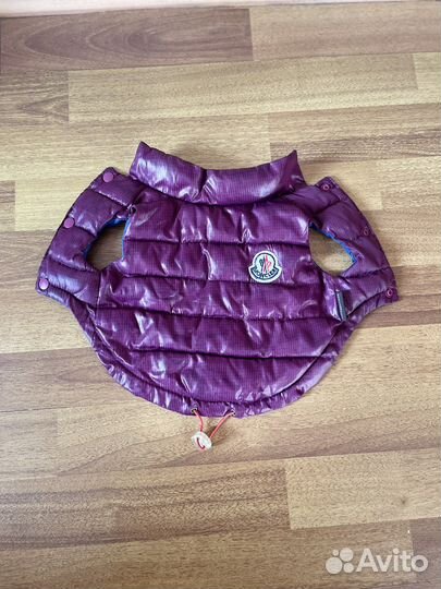 Вещи для маленьких собак