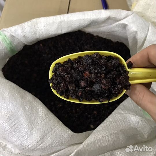 Калина сушеные ягоды