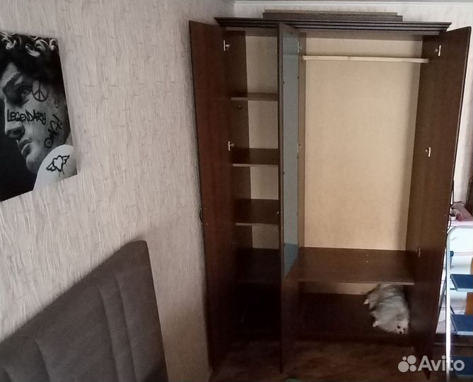 Шкаф распашной для одежды бу