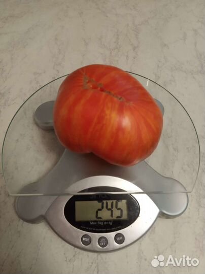 Семена томата Мечта алисы