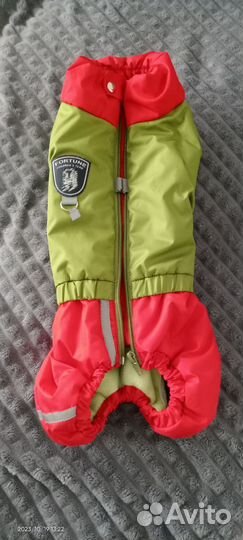 Комбинезон для маленькой собаки мальчик