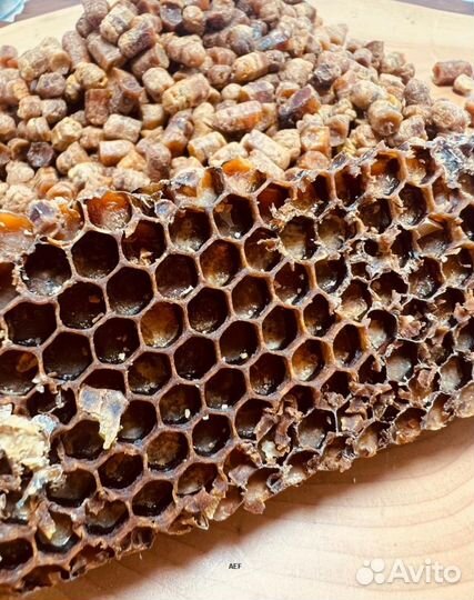 Перга пчелиная