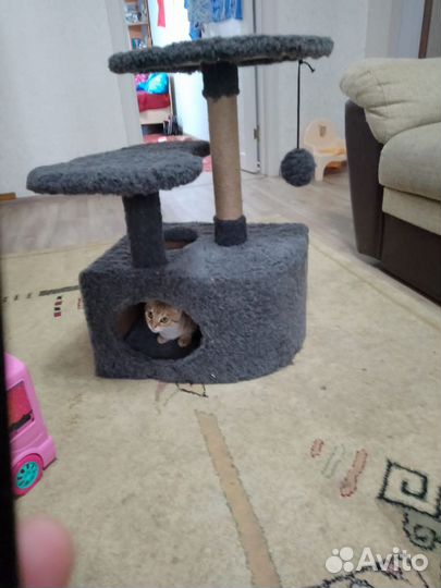 Домик для кошки