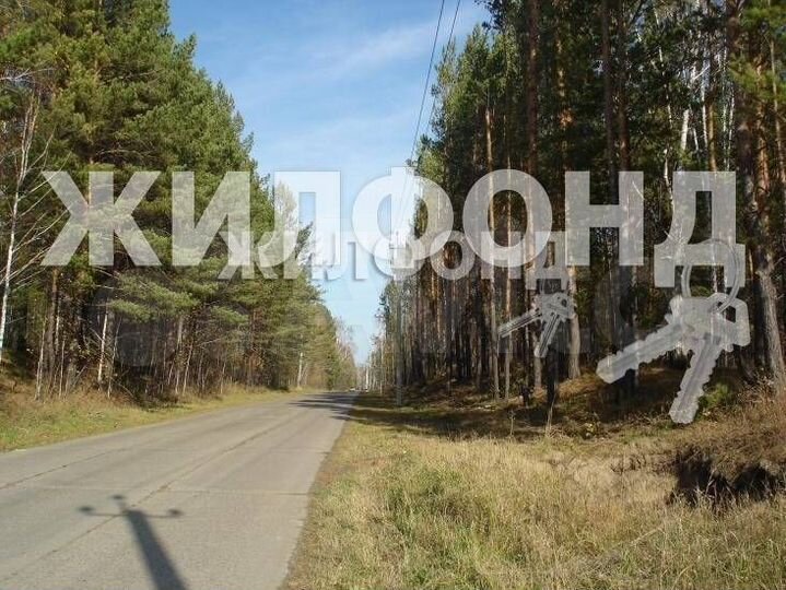 Участок 21 сот. (СНТ, ДНП)