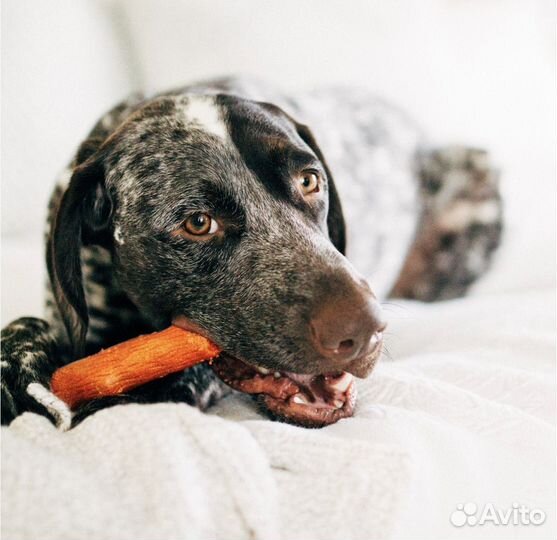 Игрушка для собак Petstages Mesquite Dogwood 18 см