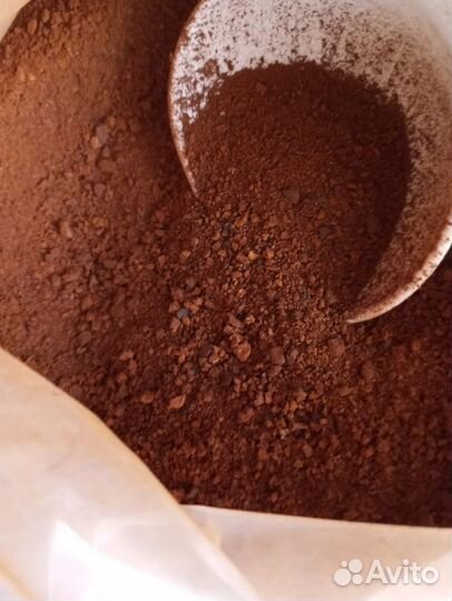 Березовый гриб чага молотый