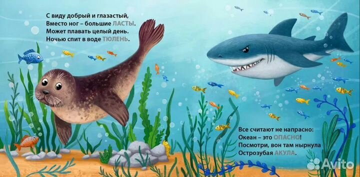 Книжки-картонки. Кто живет в воде