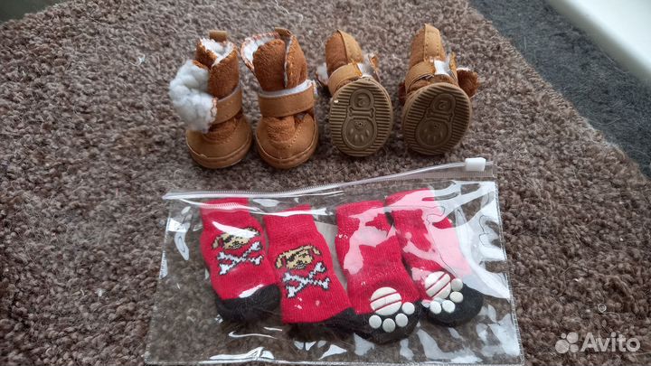 Обувь для животных