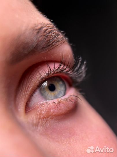 Ламинирование ресниц обучение