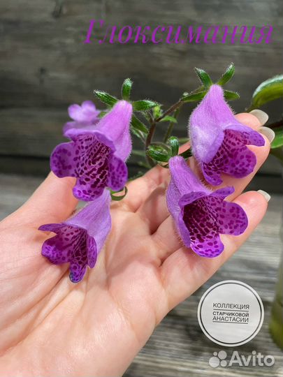 Глоксимания