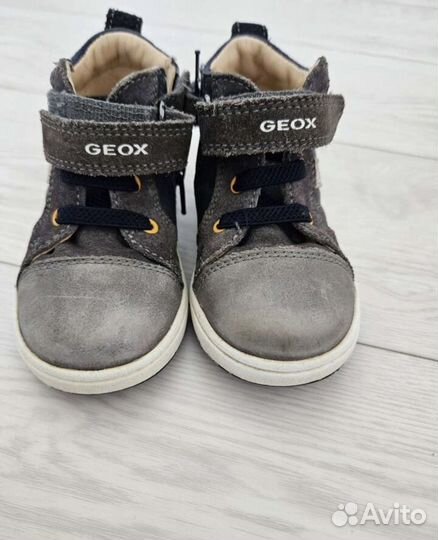Кеды Geox 21 размер