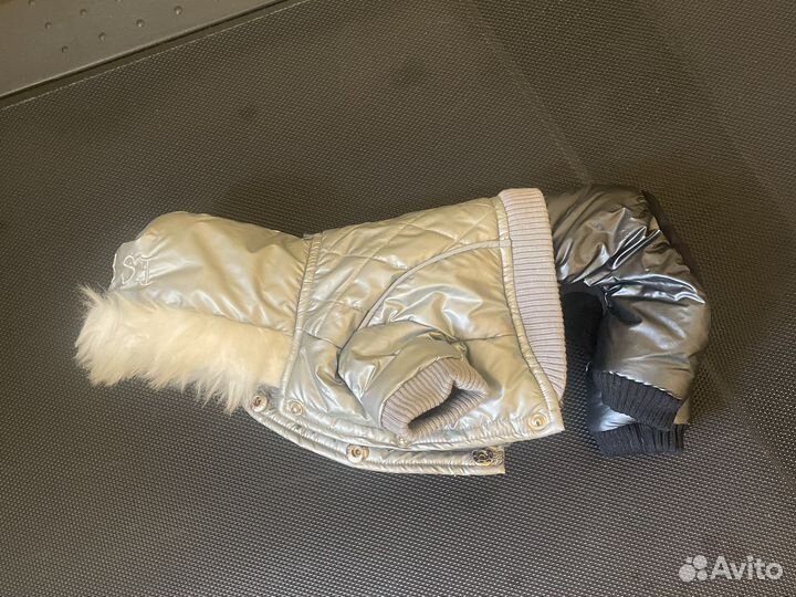 Одежда для маленьких собак