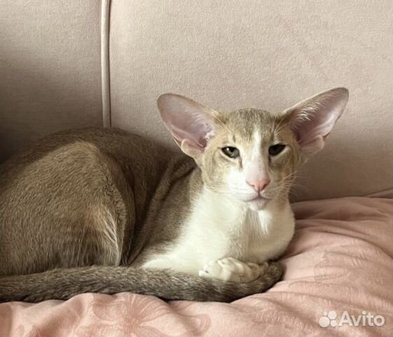 Кулон на заказ