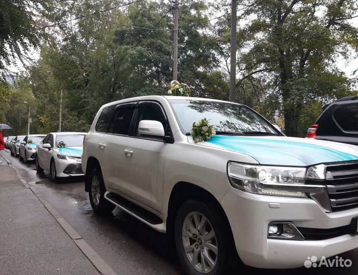 Свадебные украшения на машину кортежи