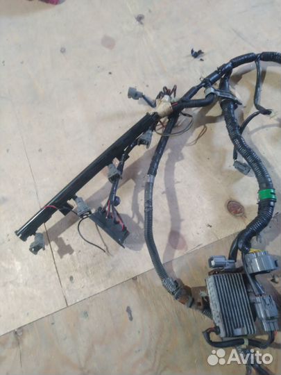 Проводка двигателя Honda Accord F20A4 89-98 Rover