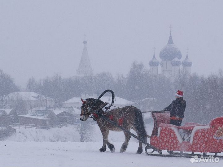 Суздаль Топ-Экскурсия Тайны Суздаля для детей ивзр