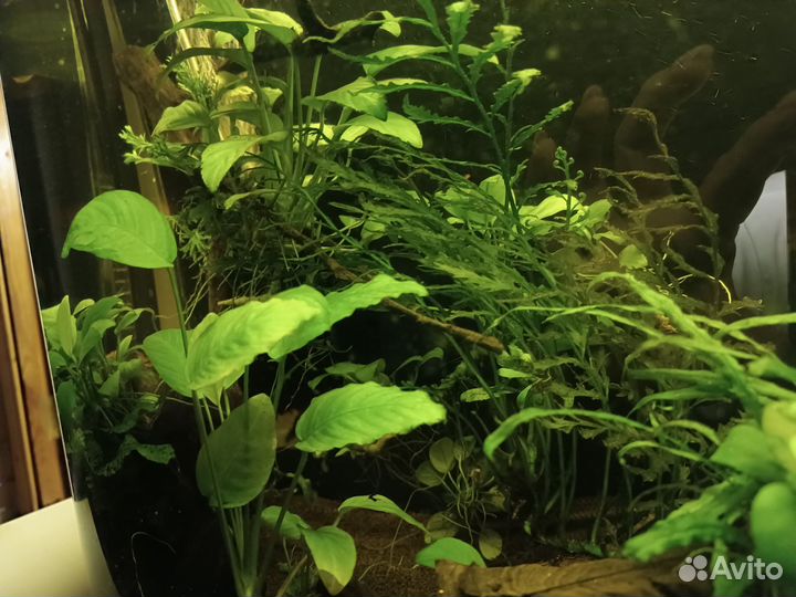 Аквариум 110 л