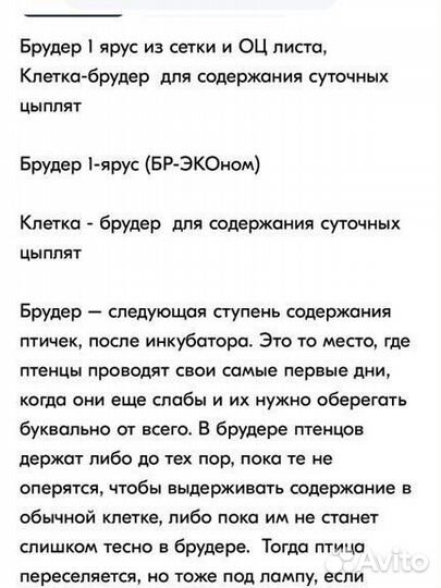 Брудер для цыплят