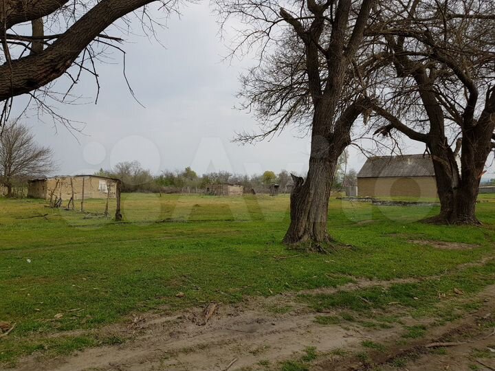 Участок 20 сот. (ИЖС)