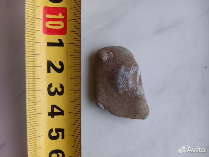 Окаменелости